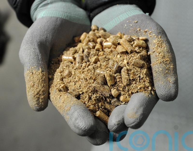 Government cannot prove biomass sustainably sourced, says National Audit Office
