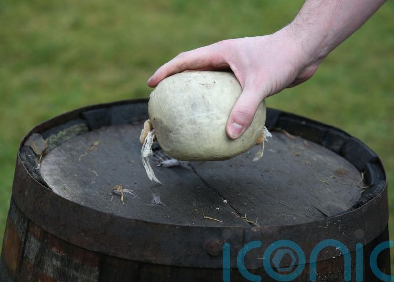 Rules against exporting haggis to US a ‘scandal’, MP tells Commons