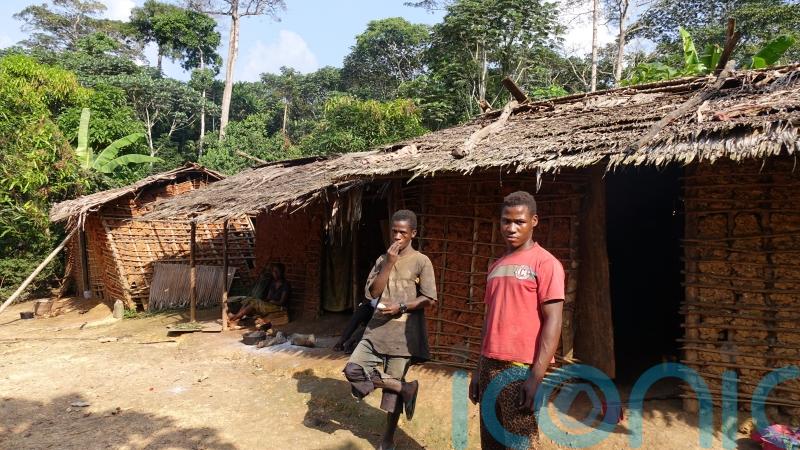 African wildlife charity investigates alleged human rights abuses by employees