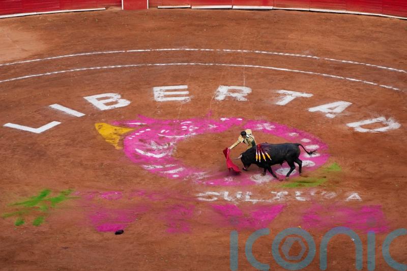 Bullfighting resumes in Mexico City while activists protest outside