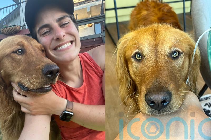 ‘I felt helpless before I taught my dog how to talk with buttons – now we can interact with each other more as equals’
