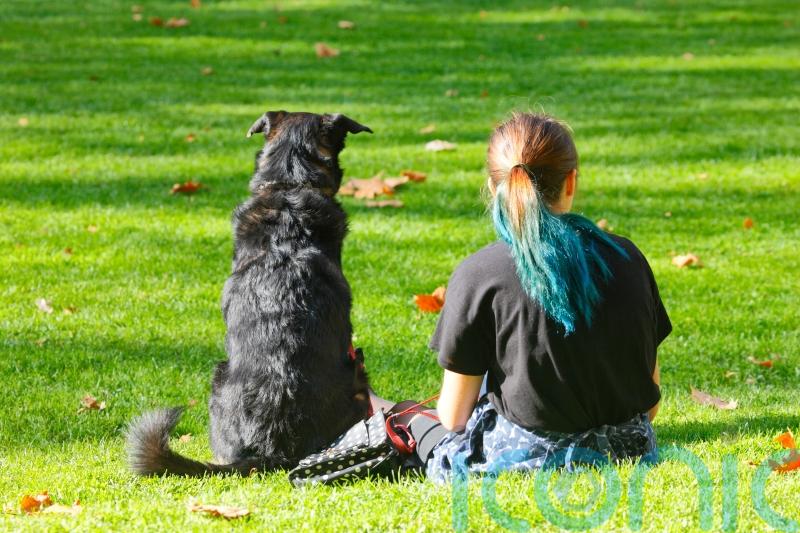 Study finds link between having a dog and girls’ physical activity