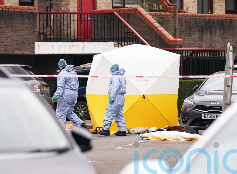 Lethal weapons found at house where man was shot dead by police in London