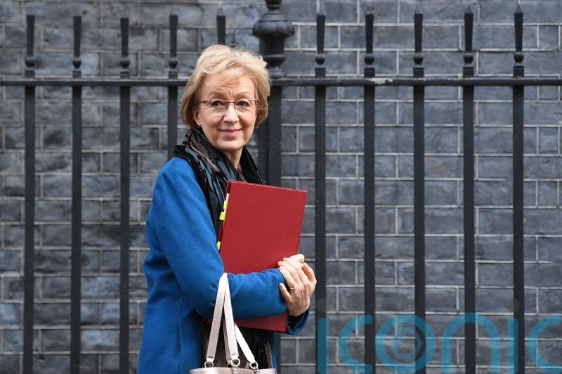 EU trade friction is price UK has to pay to be sovereign after Brexit – Leadsom