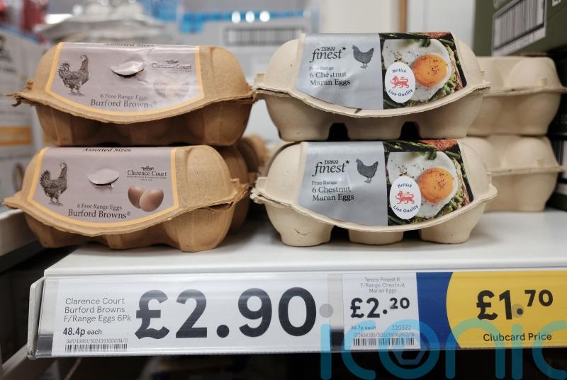 Competition watchdog begins review of supermarket loyalty pricing