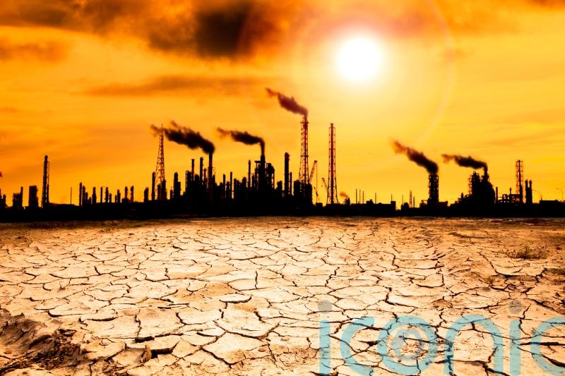 Number of firms setting science-based emissions targets ‘doubled in 2023’