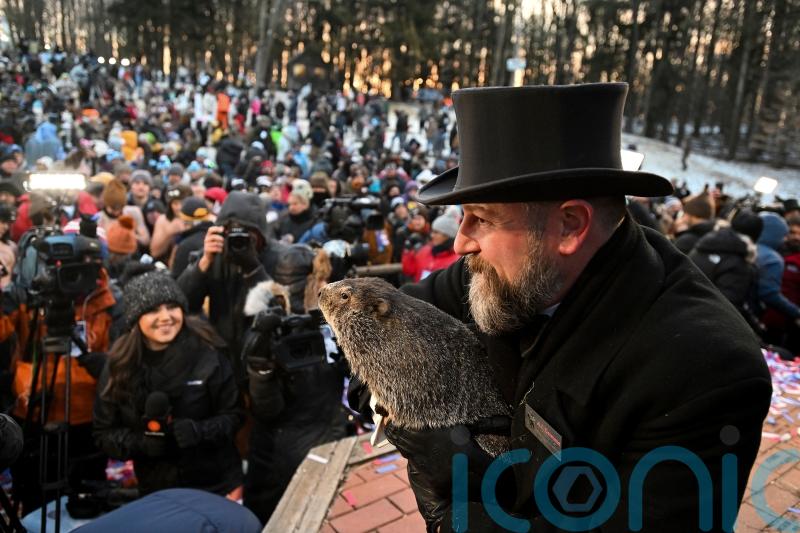 Punxsutawney Phil prepares to give weather forecast on Groundhog Day
