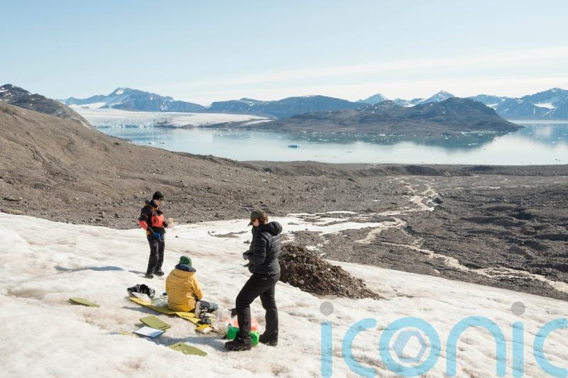 Scientist’s two-week voyage to study rare organism on remote Antarctic island