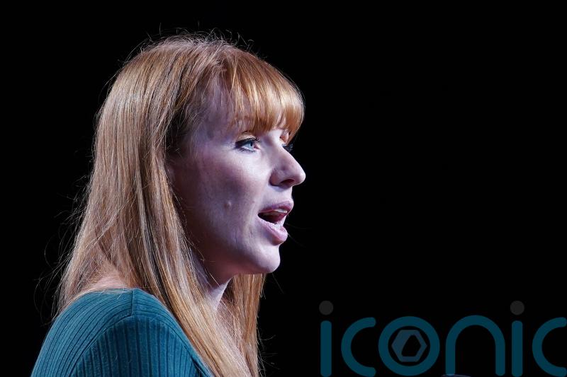 Labour not committed to ‘arbitrary’ numbers on green investment – Rayner