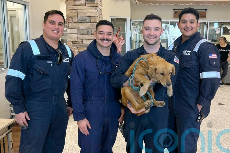 Dog rescued after more than week trapped inside shipping container at Texas port