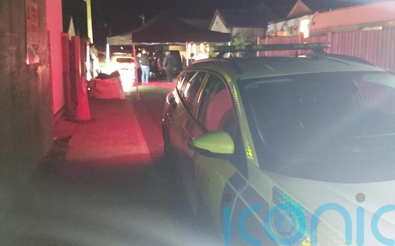 Man arrested after grandmother, 68, killed in dog attack