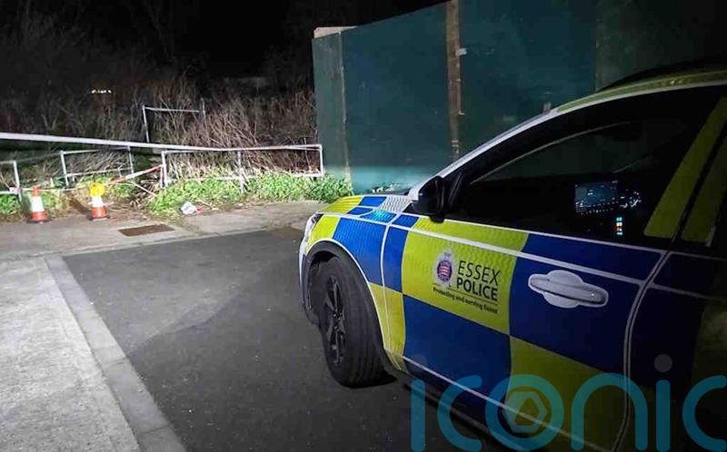 Woman, 68, killed in Essex dog attack named by police
