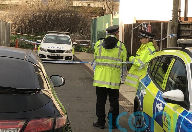 Man arrested after grandmother savaged by two dogs released on bail