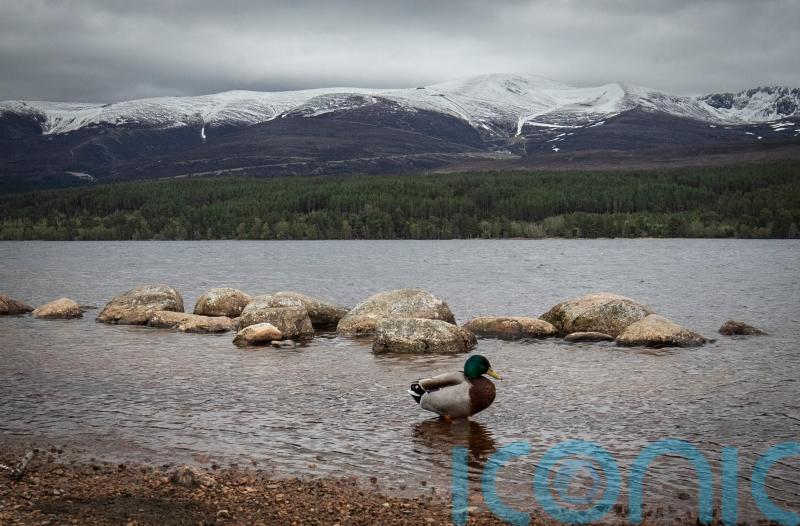 Cairngorms lands Lottery cash in bid to become UK’s first net-zero national park