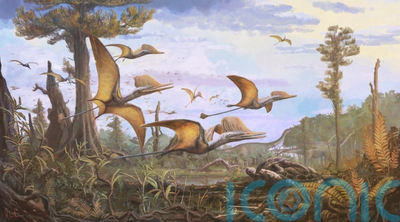New species of pterosaur discovered on Isle of Skye