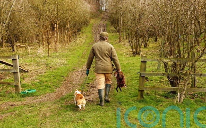 Holyrood committee backs snares ban