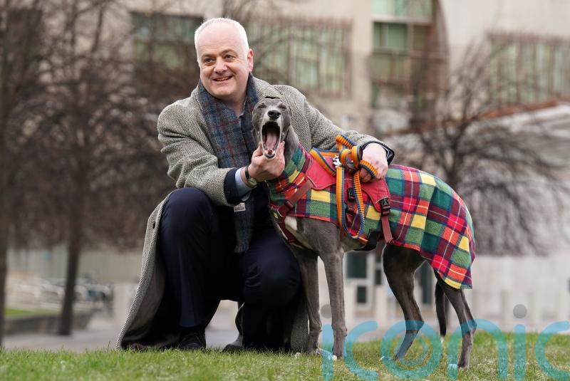 Ban on greyhound racing will not drive sport underground, insists MSP