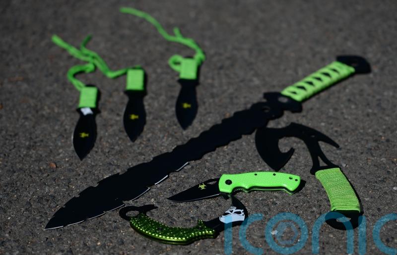 Ban zombie knives sooner to save young lives, charity urges Government