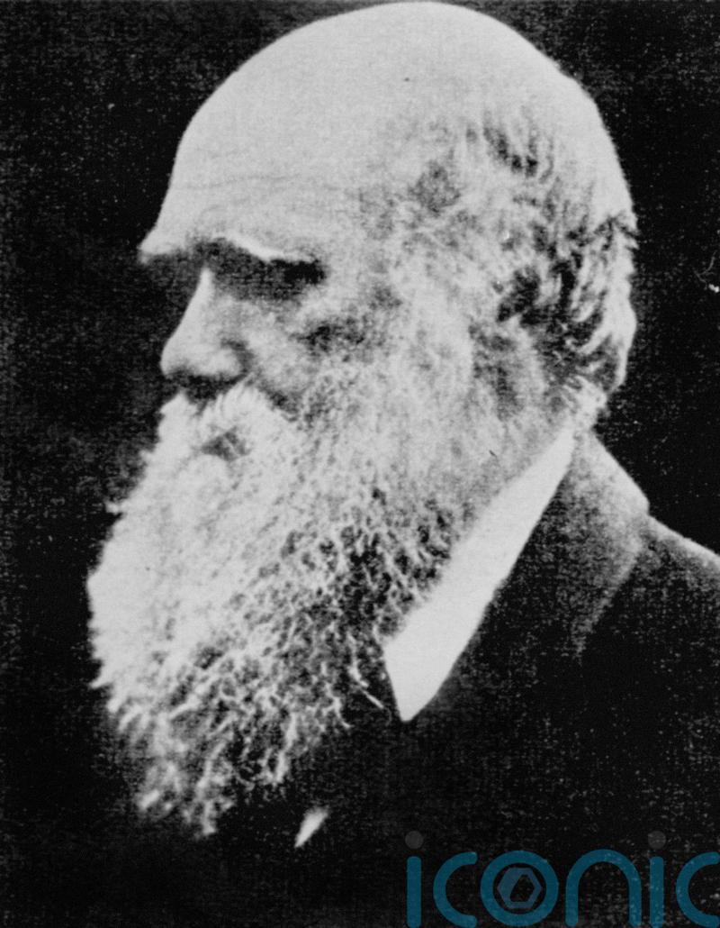Vast personal library of Charles Darwin uncovered for the first time