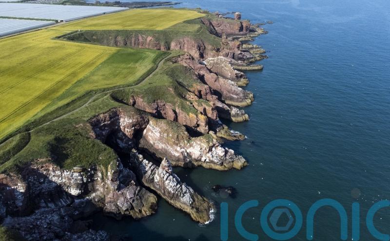 Two-thirds support marine and coastal national park, poll shows