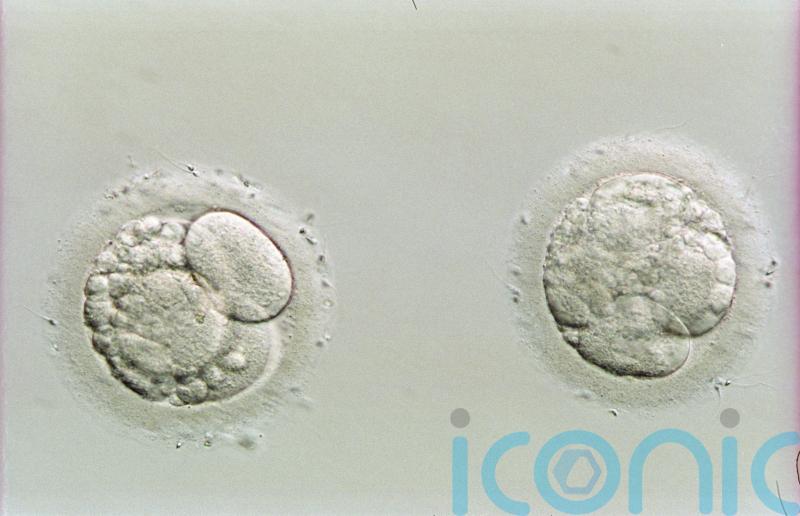 Faulty egg-freezing solution ‘may have been distributed to other clinics’