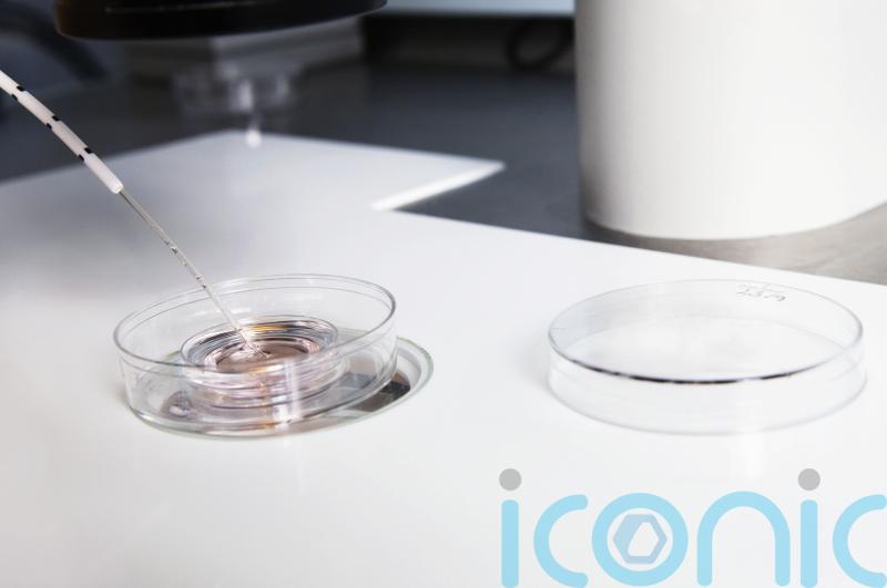 Second fertility centre linked to faulty egg-freezing solution