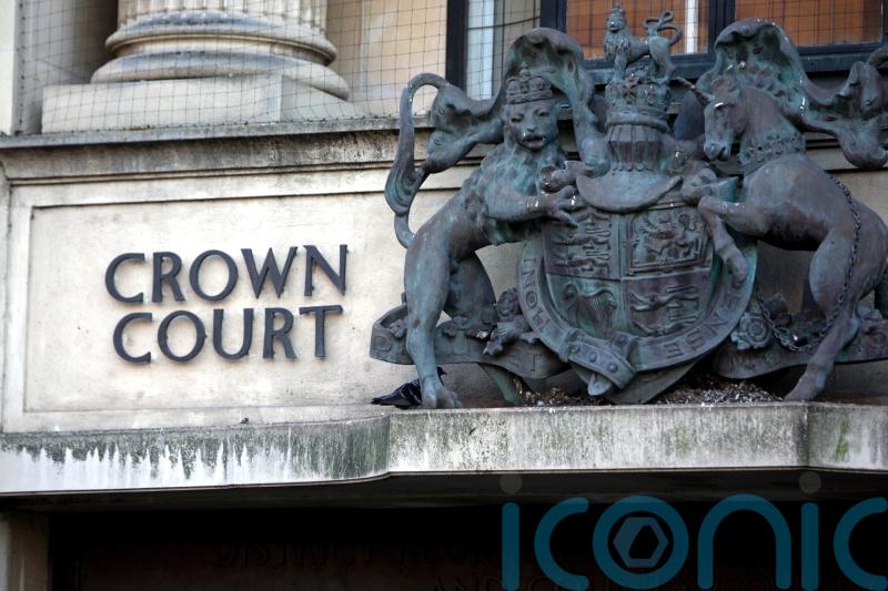 Cat killer allegedly told ex-partner she had murdered a man, court told