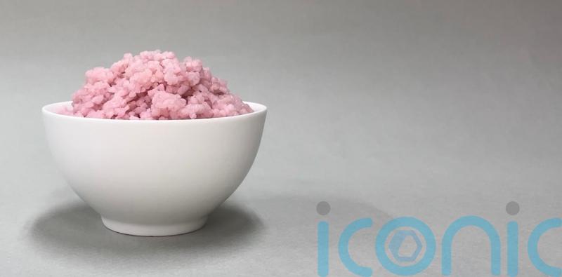 Scientists grow beef cells in rice for first time