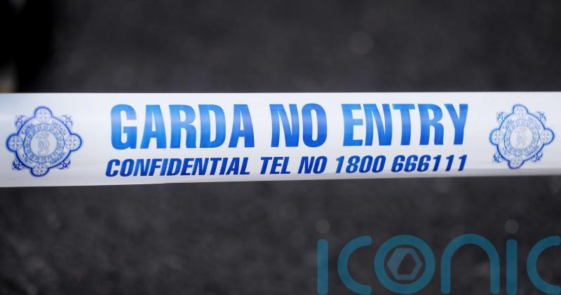 Man dies following road crash in Kilkenny