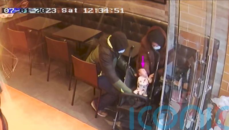 Fugitive aristocrat was a good mother and did nothing wrong, partner told police
