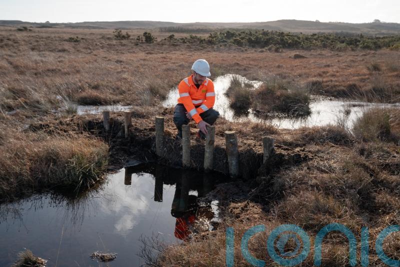 £1 million project launched to restore rare peatland habitats