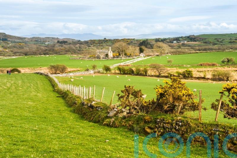 Welsh Government’s subsidy scheme ‘will decimate farming communities’, PM warns