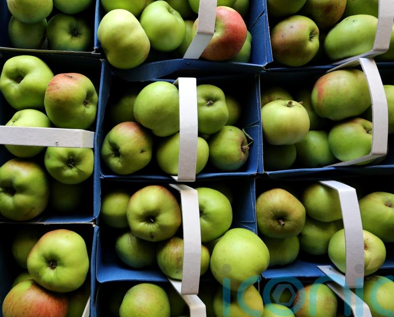 New method of squeezing apple juice could boost its health benefits – study