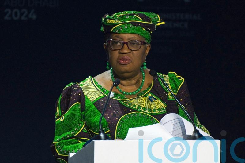 Global economy weighed down by war, uncertainty and instability, says WTO chief