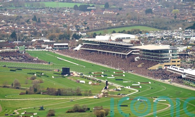 Soft going anticipated for start of Cheltenham Festival