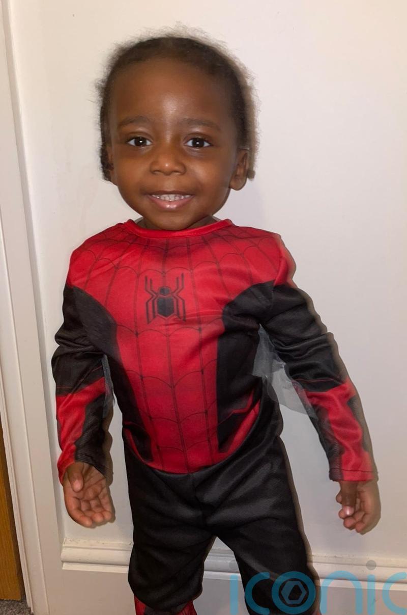 Private company to join search for two-year-old who fell into river