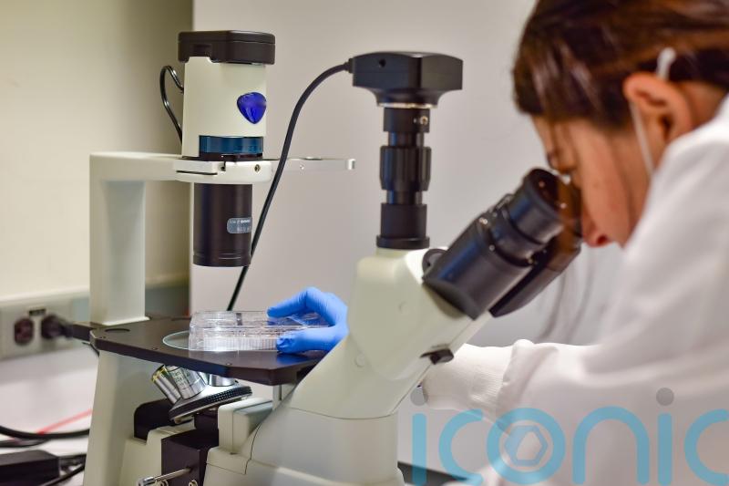 NHS ‘fast tracks’ new therapy for stem cell patients