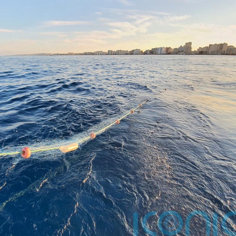 Flashing lights on fishing nets ‘reduce accidental catching of turtles’