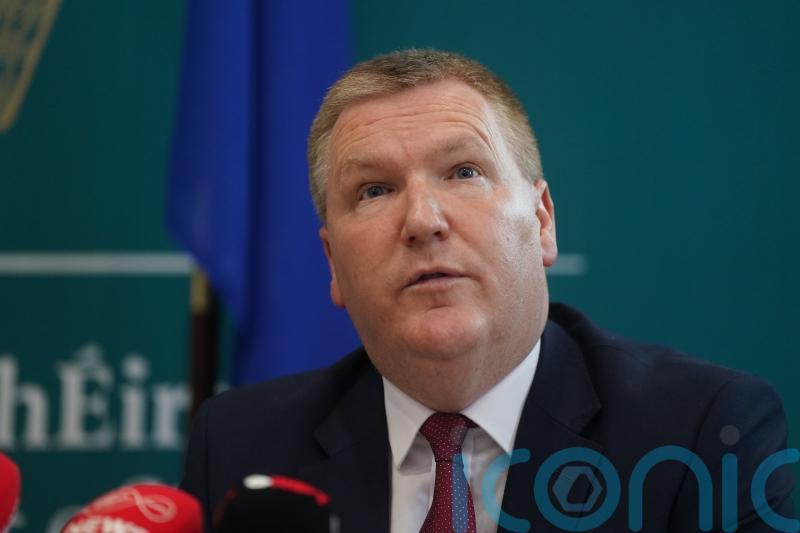 ‘Limited’ opportunity for Nama to build more affordable homes, says McGrath
