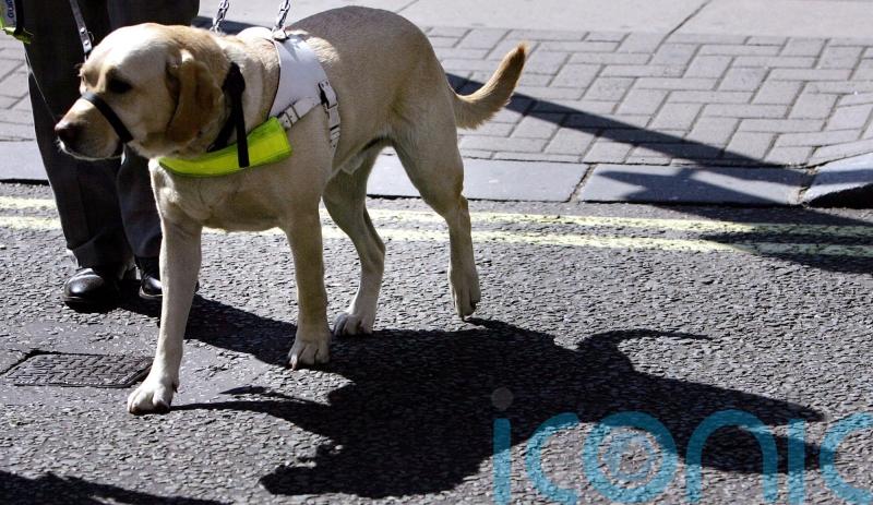 Many blind and partially sighted people being denied support, charity says