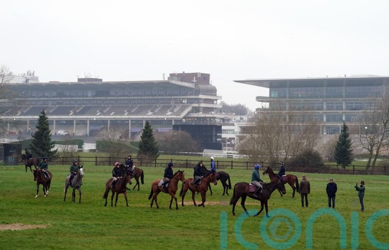 Soft ground expected for day one of the Festival