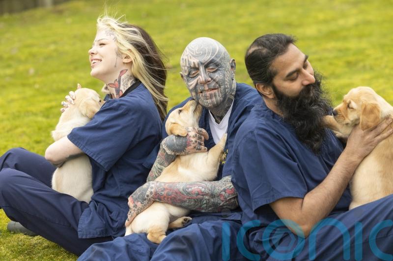 Guide Dogs charity issues appeal for volunteers with tattoos and facial hair