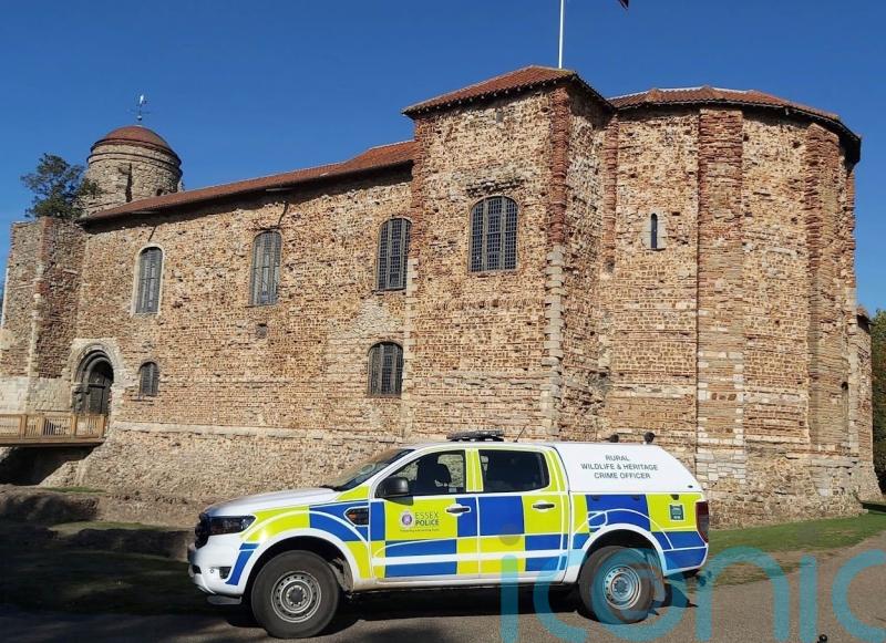 Thefts of historic stone and objects from museums and galleries on the rise
