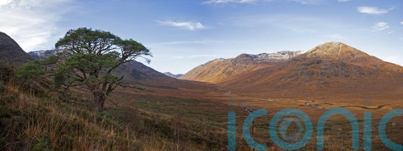 Ministers urged to declare Scotland a rewilding nation