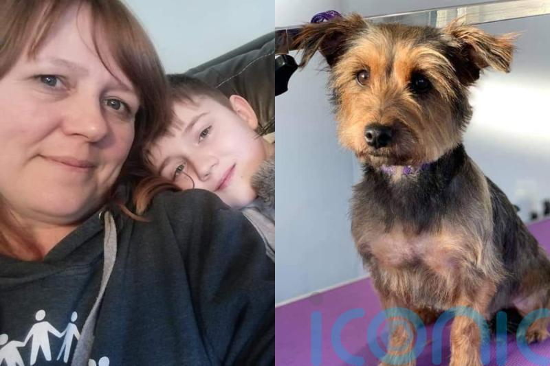 Mum watches in horror as support dog for son with disabilities is killed by ‘Rottweiler’ in savage attack caught on CCTV