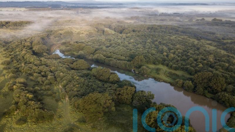 Campaigners highlight ‘story of hope’ in rise of rewilding schemes