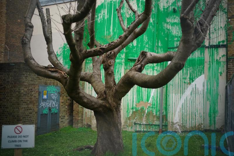 Banksy tree mural defaced with white paint