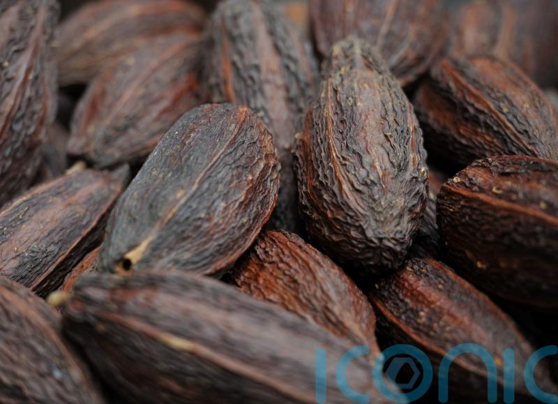 Cocoa prices soar ahead of Easter as ‘impact of climate change and El Nino’ hit