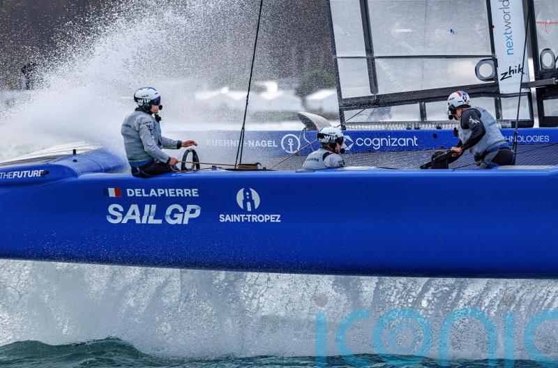 Endangered dolphins halt sailing event in New Zealand