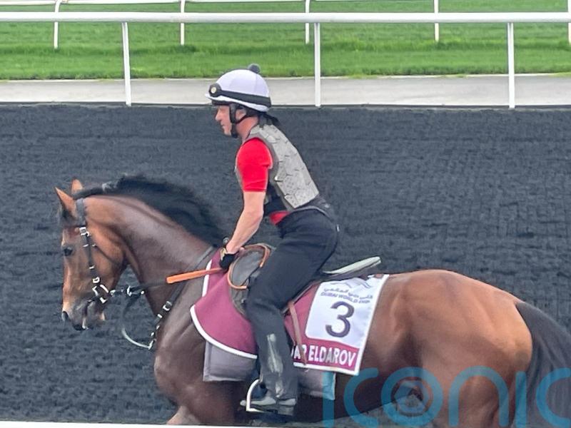 Varian optimistic about Eldar Eldarov’s Meydan prospects